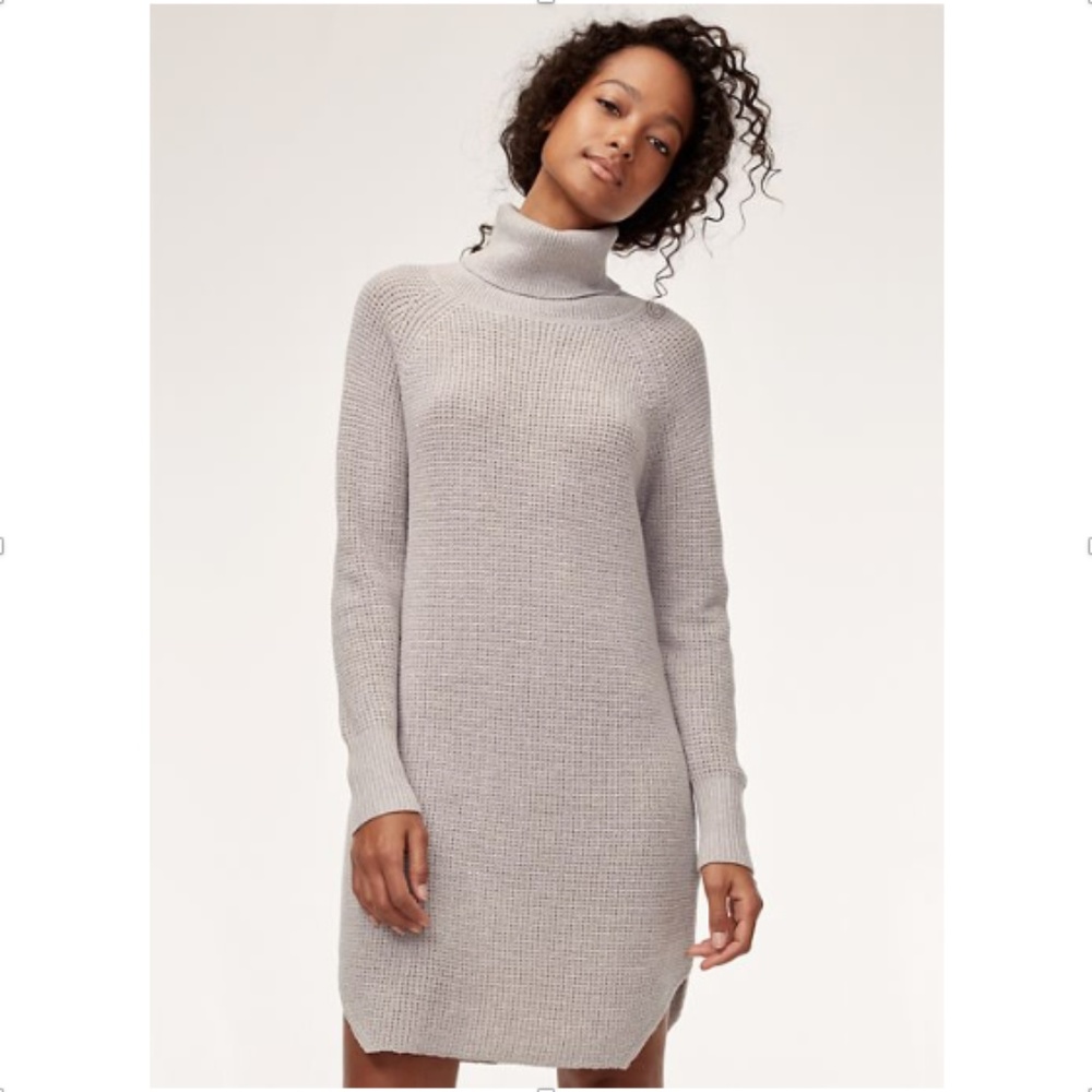 Wilfred Wool Turtle Neck Sweater Dress